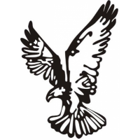 ООО Охранное агентство "Беркут"